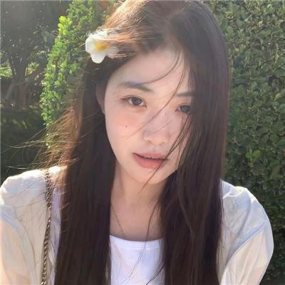 齐姆与友